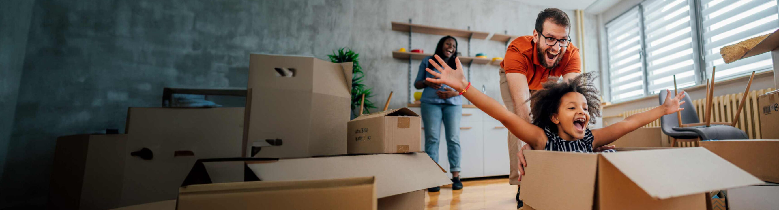 ML-2700x729 ML-2700x729